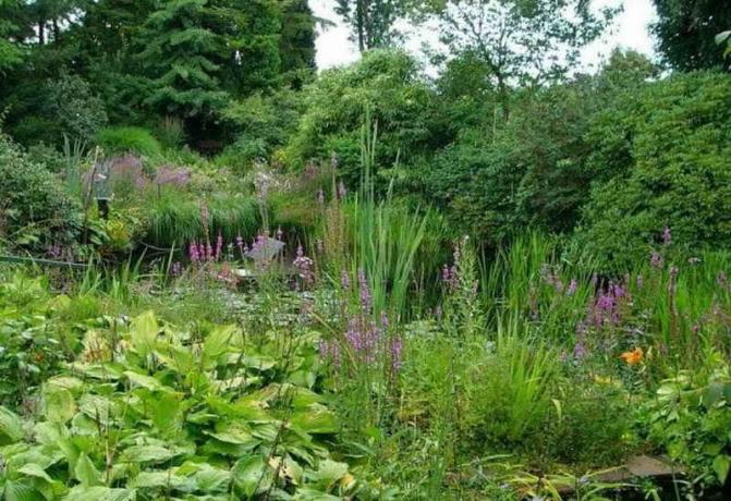 Garden természetes stílus: fiatalítás kerti telek - Tippek kertészek