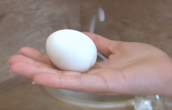 Mindenki azt akarja, hogy enni egy tojást egy tökéletes Gorny! / Fotó Forrás: youtube.com/channel/UCagplR5T275T6em4AQOYNbQ