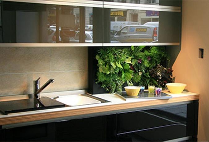 Zöldek a konyhában - friss ötletek a házi növények használatához