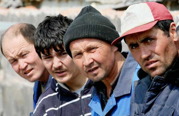 A migráns munkavállalók jöttek ásni a kertben, és hányan kértek munka