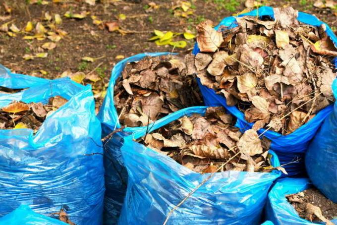 Komposzt zsákokban lehullott levelek. Illusztráció egy cikket használják a normál engedély © ofazende.ru