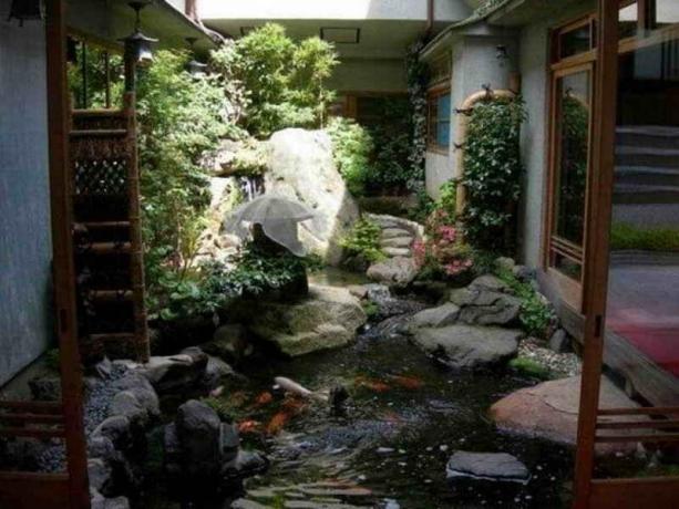 A víz kert az udvarban: Tippek kertészek