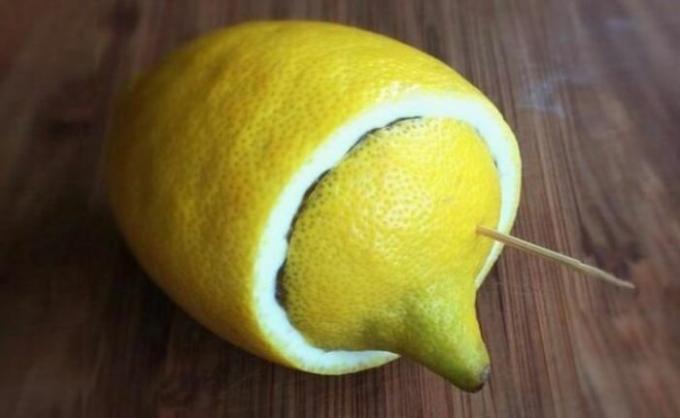 Lemon - a tökéletes társ, ha megy kemping vagy kültéri kikapcsolódás. / Fotó: belnovosti.by. 