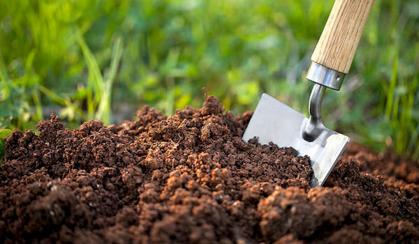 Önállóan határozza meg a talajtípus, a kertben