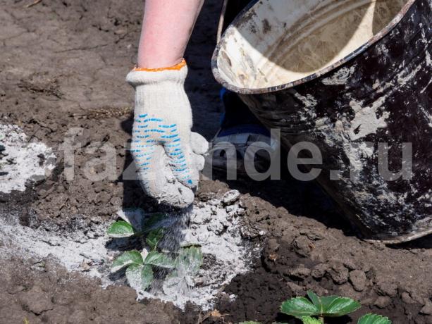 Egy egyedülálló választéka: Természetes trágyák kezük