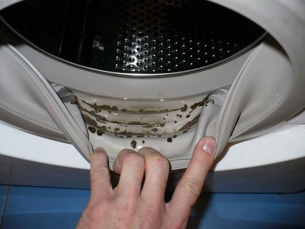 Hogyan lehet megszabadulni a penész és dohos szag a mosógép
