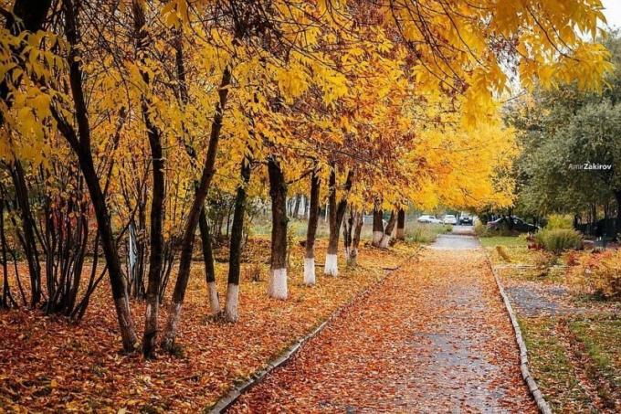 A múlt hónapban az ősz más változékony időjárás. Illusztráció egy cikket használják a normál engedély © ofazende.ru