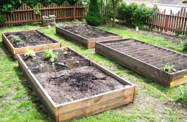 Hogyan lehet javítani a agyagos talaj a kertben anélkül, hogy nagy pénzügyi beruházásokat. Saját tapasztalat